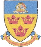 Organisation logo